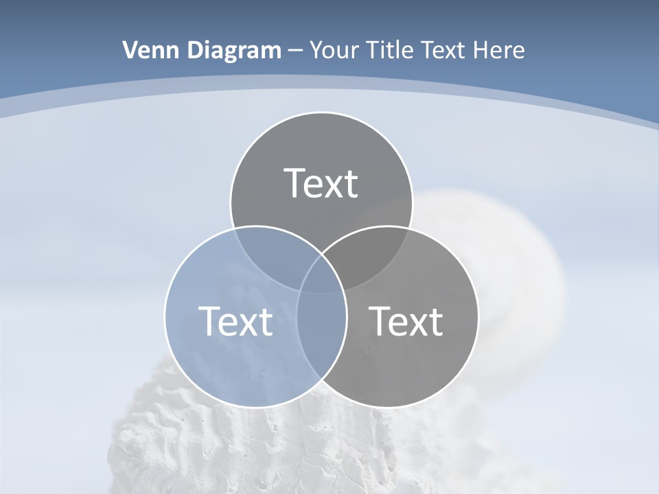 Shell Seashore Nobody PowerPoint Template