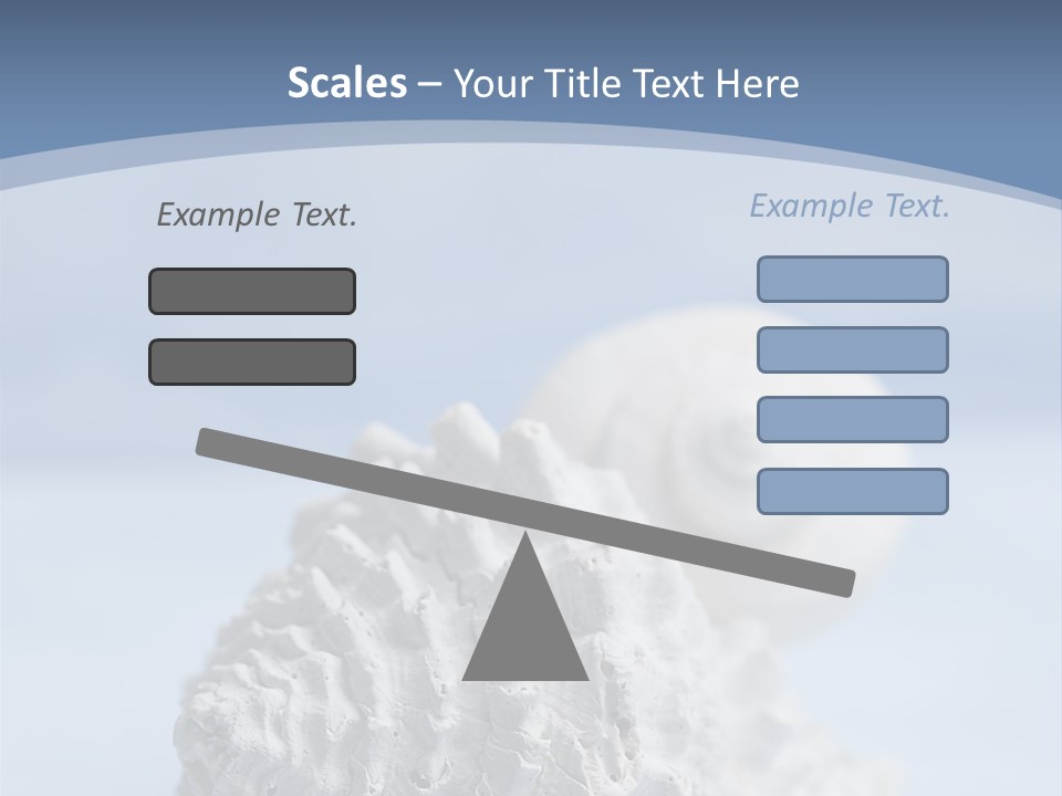 Shell Seashore Nobody PowerPoint Template