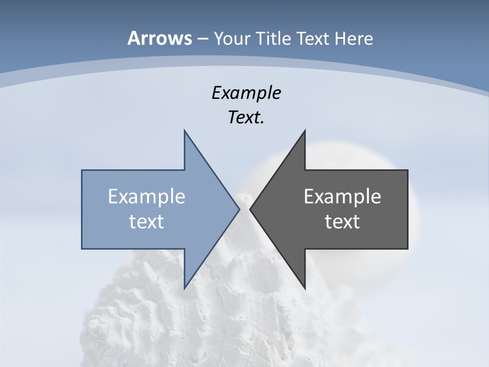 Shell Seashore Nobody PowerPoint Template