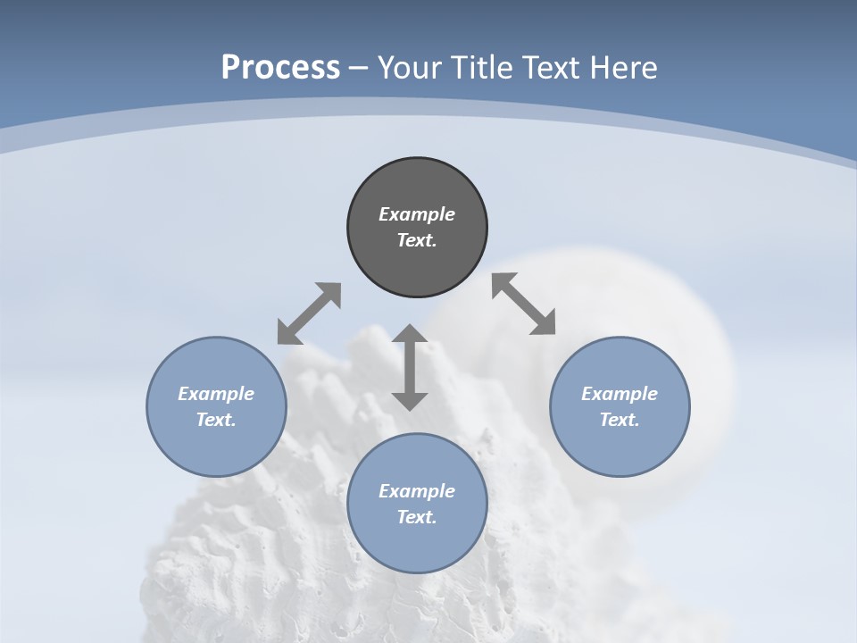 Shell Seashore Nobody PowerPoint Template