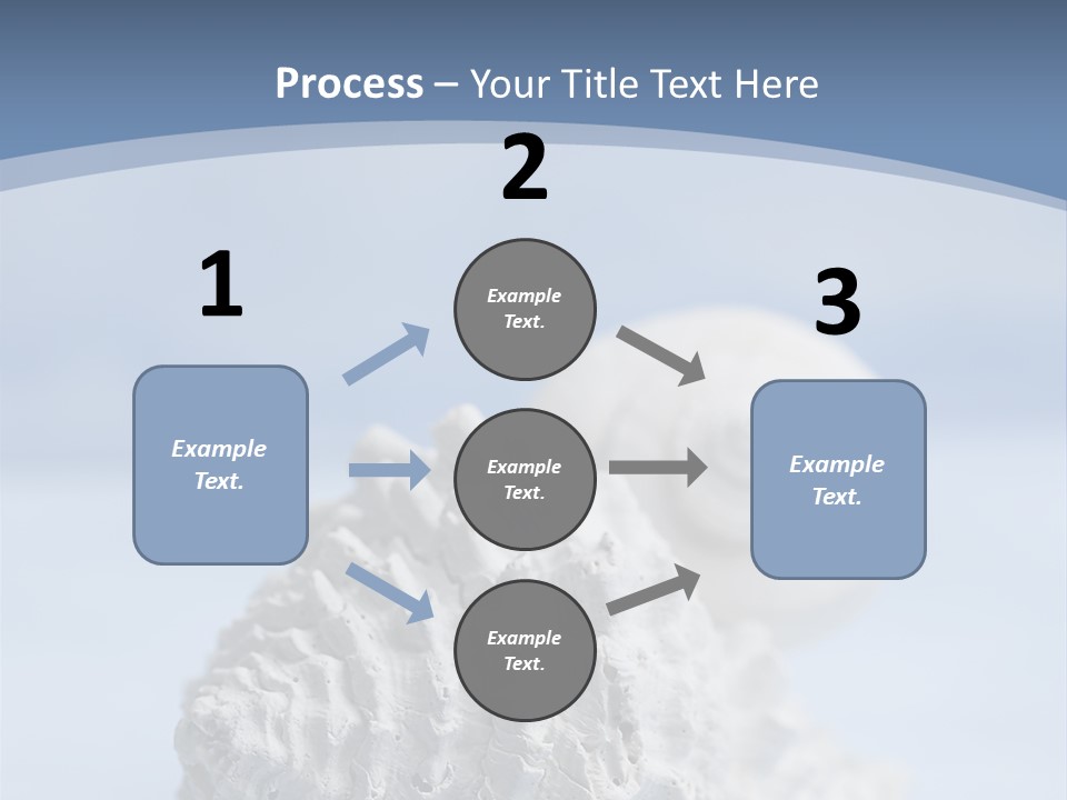Shell Seashore Nobody PowerPoint Template