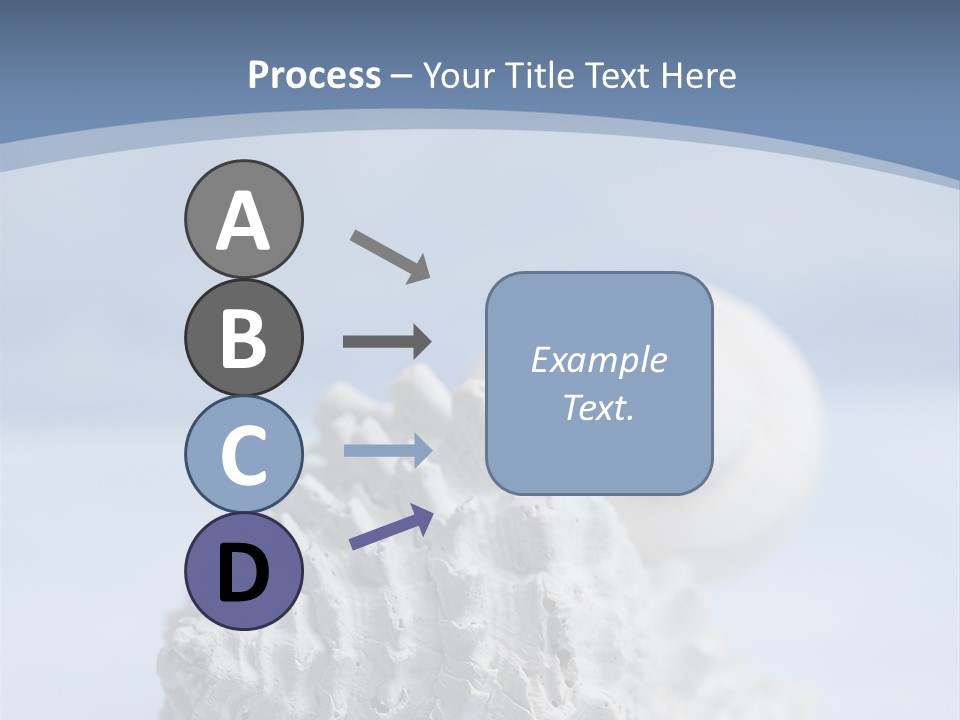 Shell Seashore Nobody PowerPoint Template
