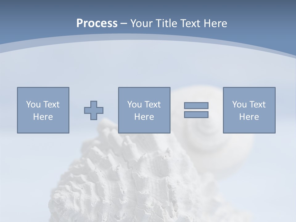 Shell Seashore Nobody PowerPoint Template