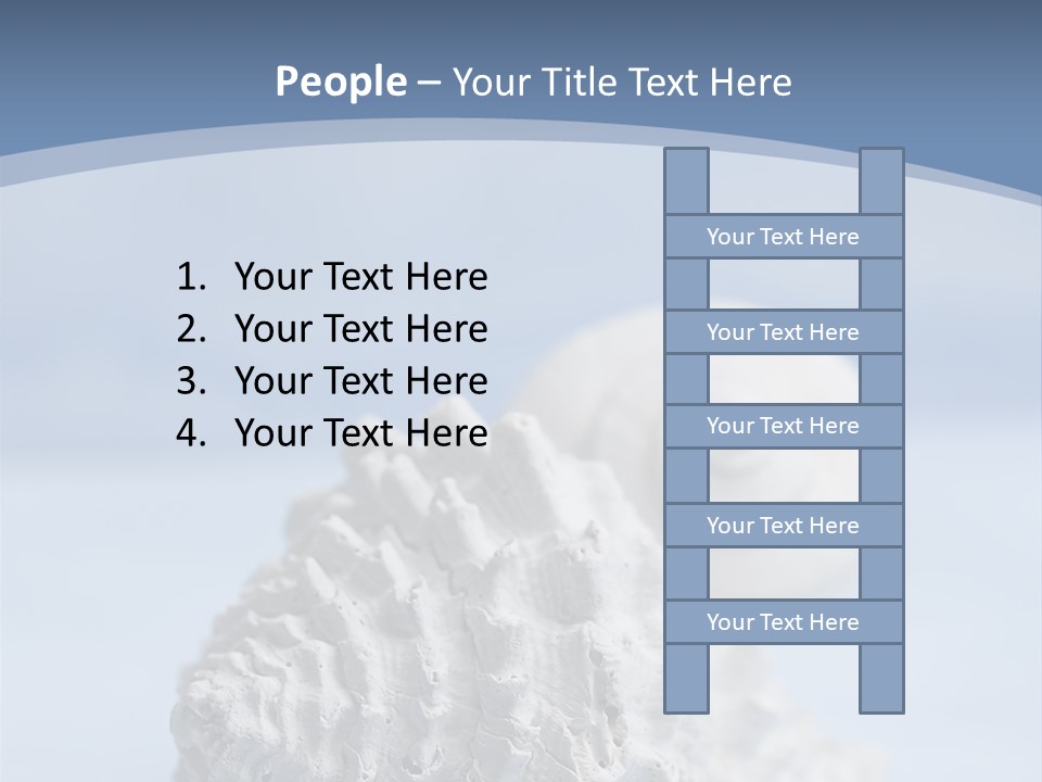Shell Seashore Nobody PowerPoint Template