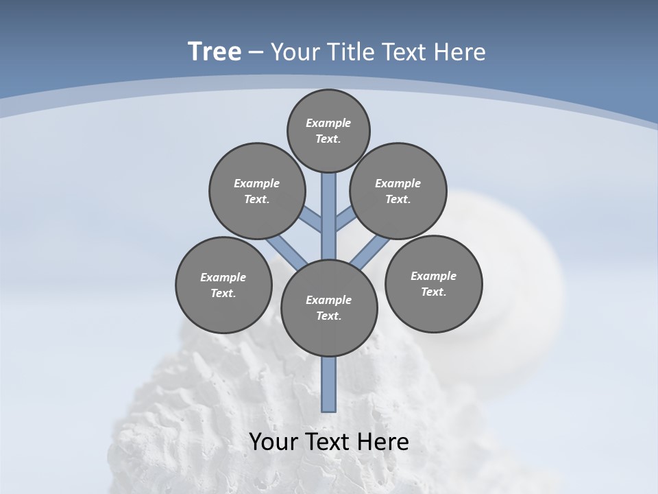 Shell Seashore Nobody PowerPoint Template