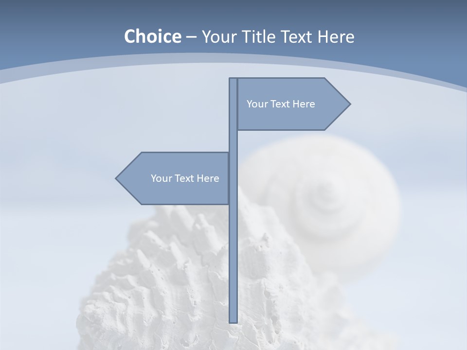 Shell Seashore Nobody PowerPoint Template