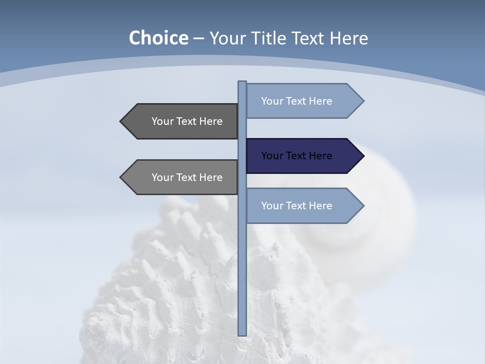 Shell Seashore Nobody PowerPoint Template