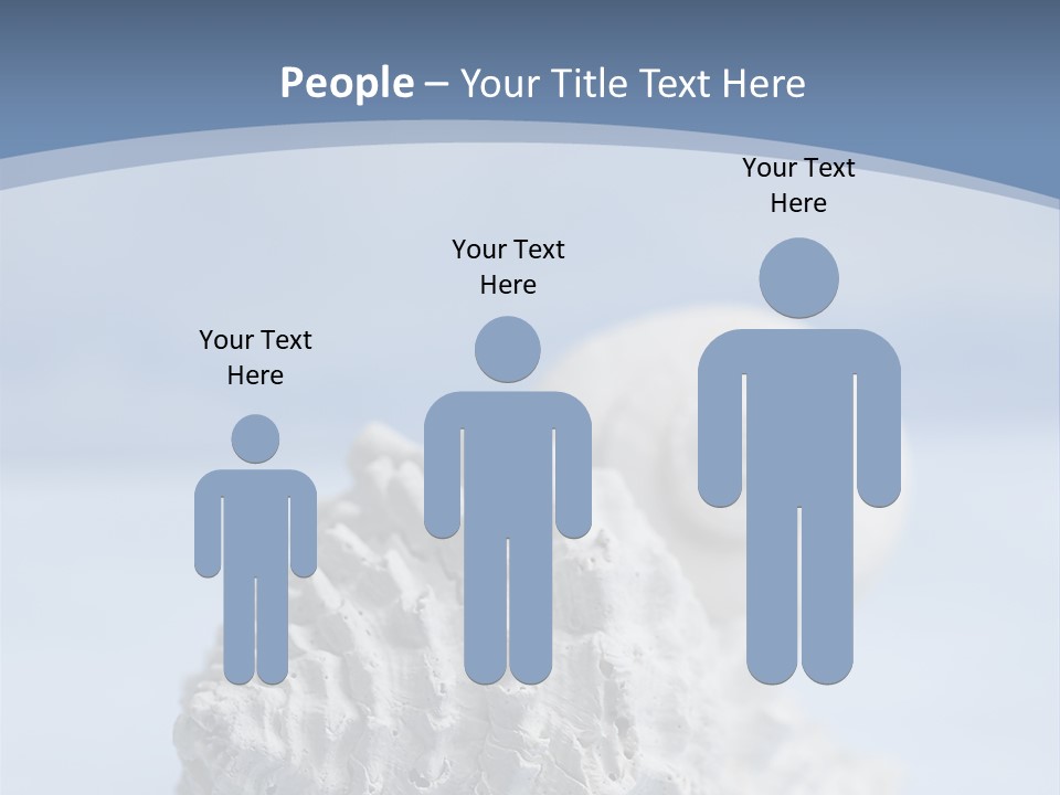 Shell Seashore Nobody PowerPoint Template