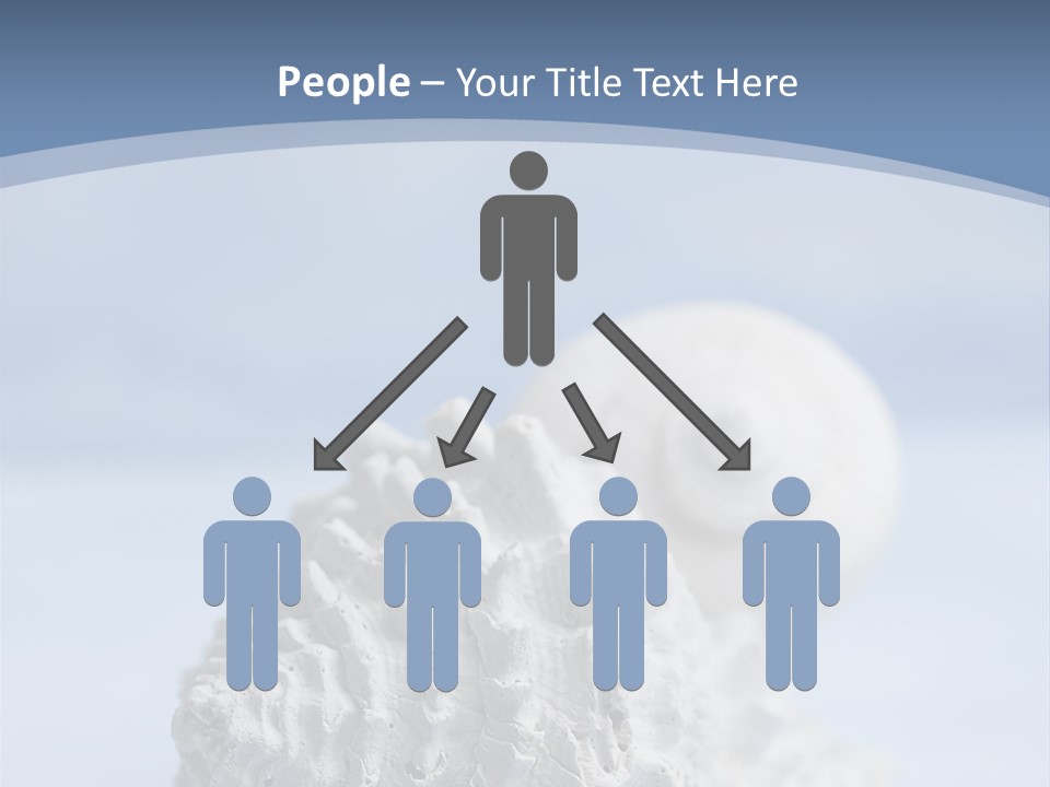 Shell Seashore Nobody PowerPoint Template