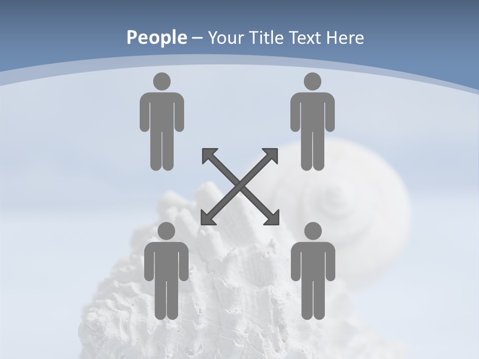 Shell Seashore Nobody PowerPoint Template