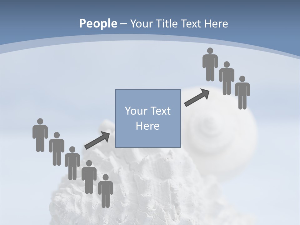 Shell Seashore Nobody PowerPoint Template