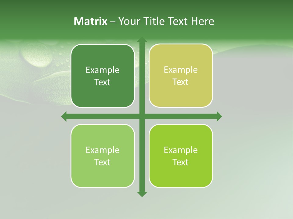 Nature Drops Leaf PowerPoint Template
