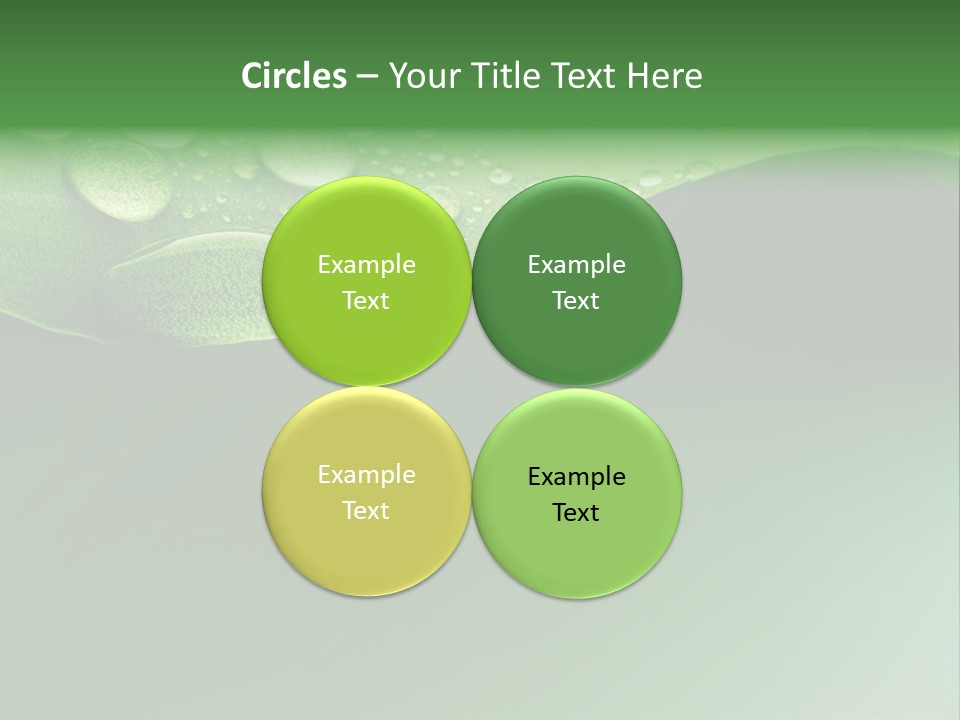 Nature Drops Leaf PowerPoint Template