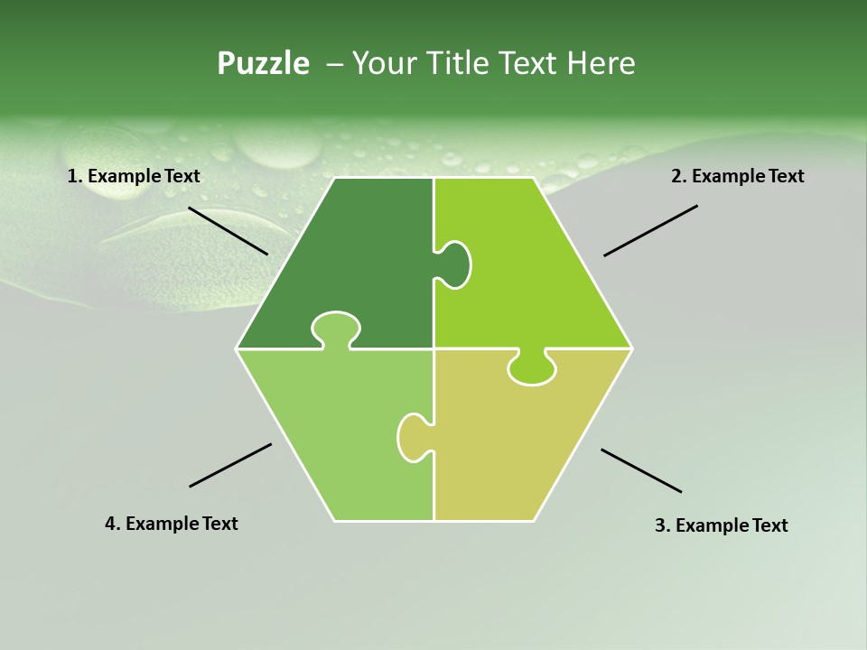 Nature Drops Leaf PowerPoint Template