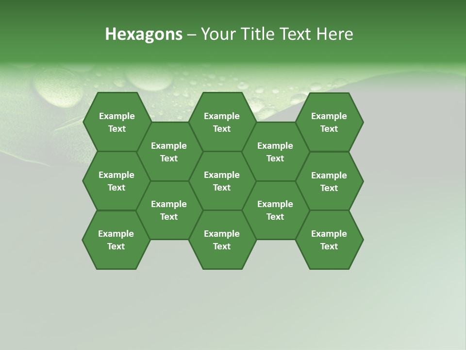 Nature Drops Leaf PowerPoint Template