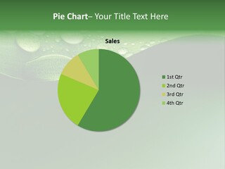 Nature Drops Leaf PowerPoint Template