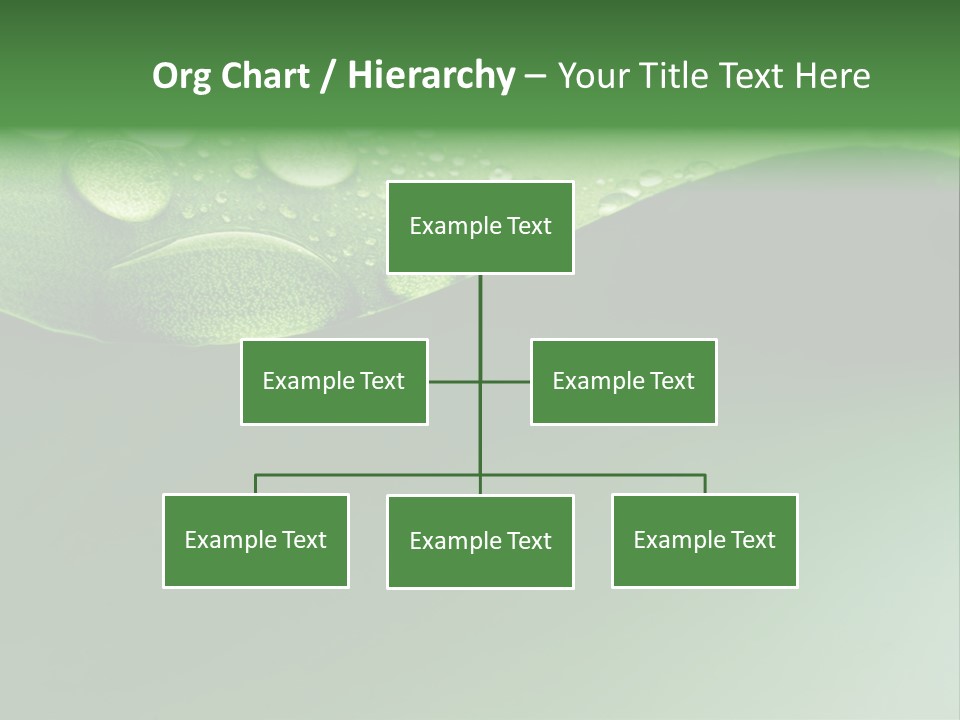 Nature Drops Leaf PowerPoint Template