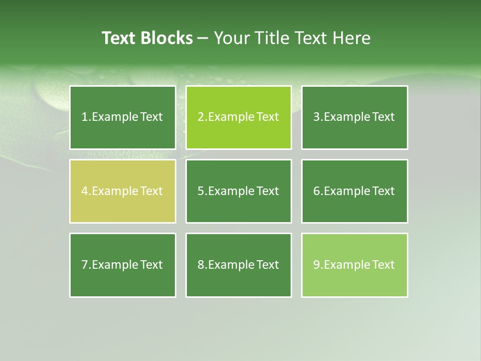 Nature Drops Leaf PowerPoint Template