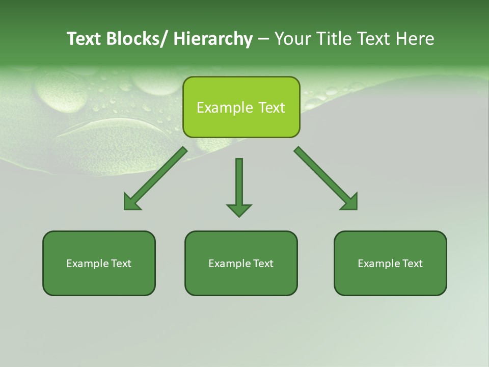 Nature Drops Leaf PowerPoint Template