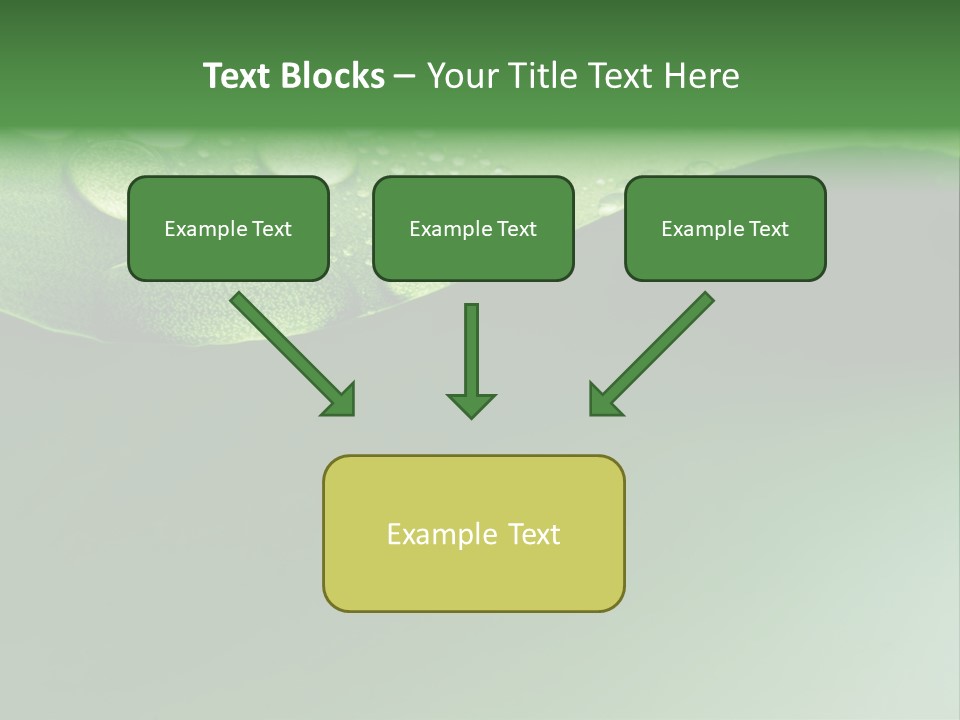 Nature Drops Leaf PowerPoint Template