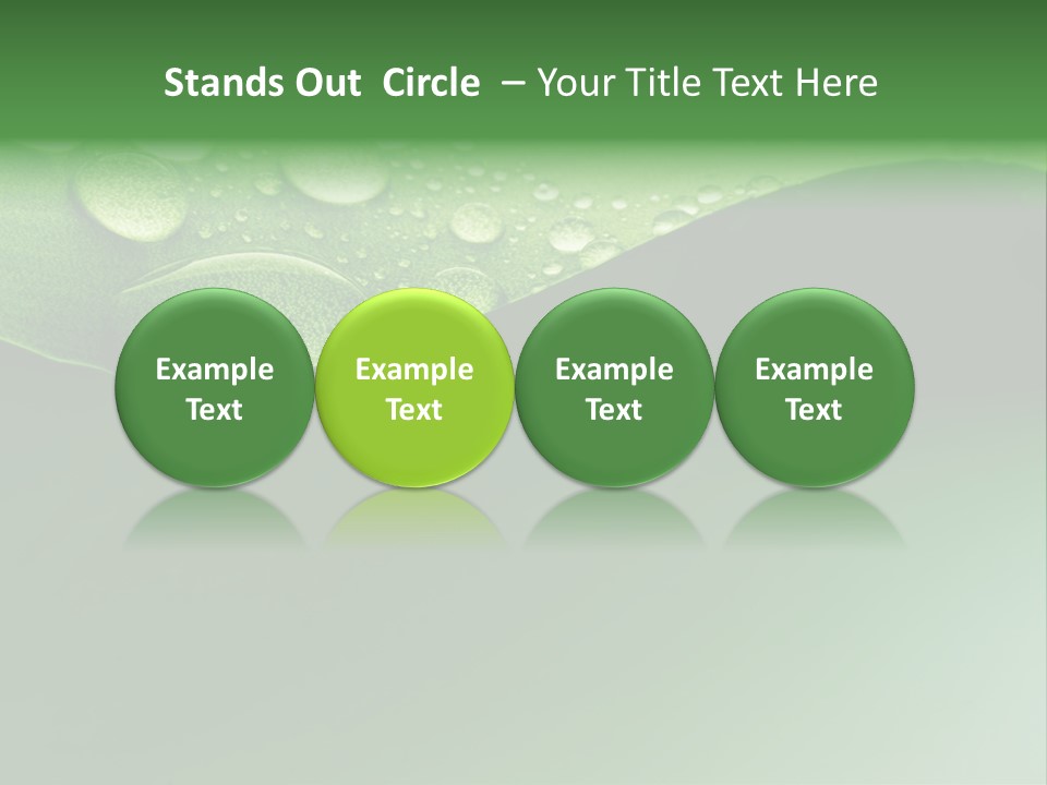 Nature Drops Leaf PowerPoint Template