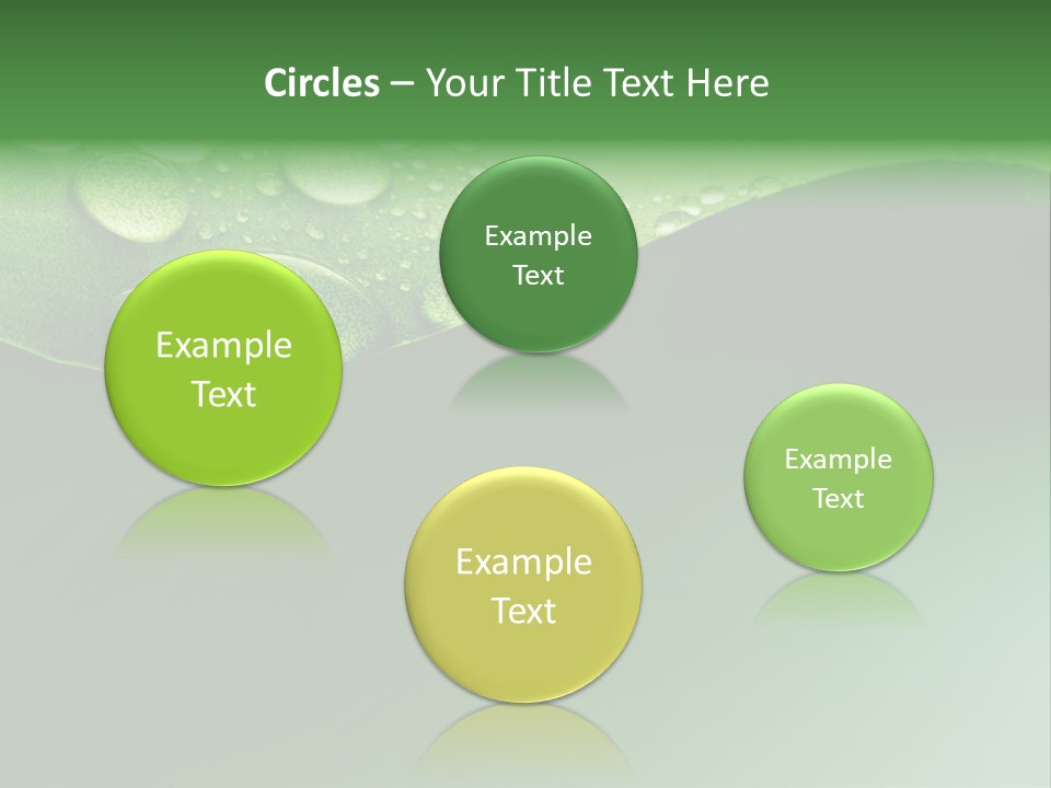 Nature Drops Leaf PowerPoint Template