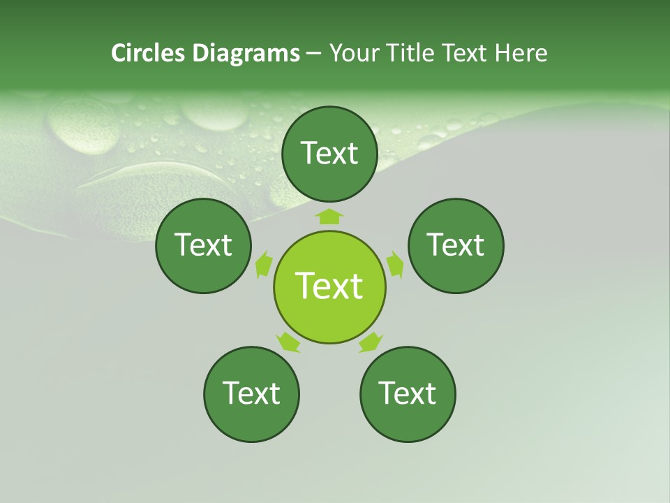 Nature Drops Leaf PowerPoint Template