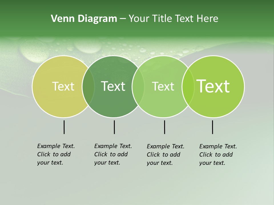 Nature Drops Leaf PowerPoint Template