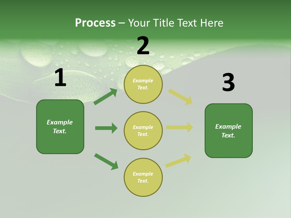 Nature Drops Leaf PowerPoint Template
