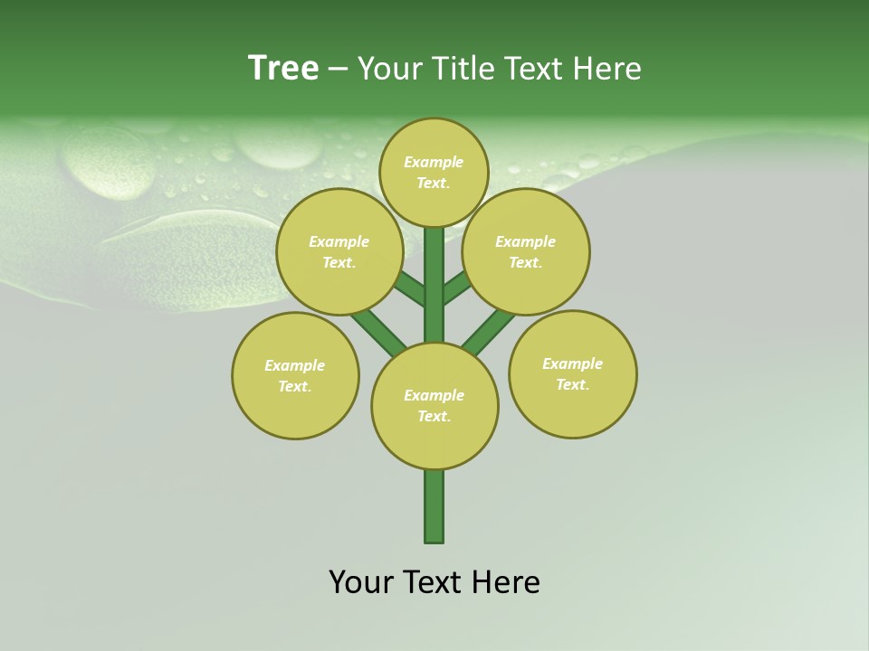 Nature Drops Leaf PowerPoint Template