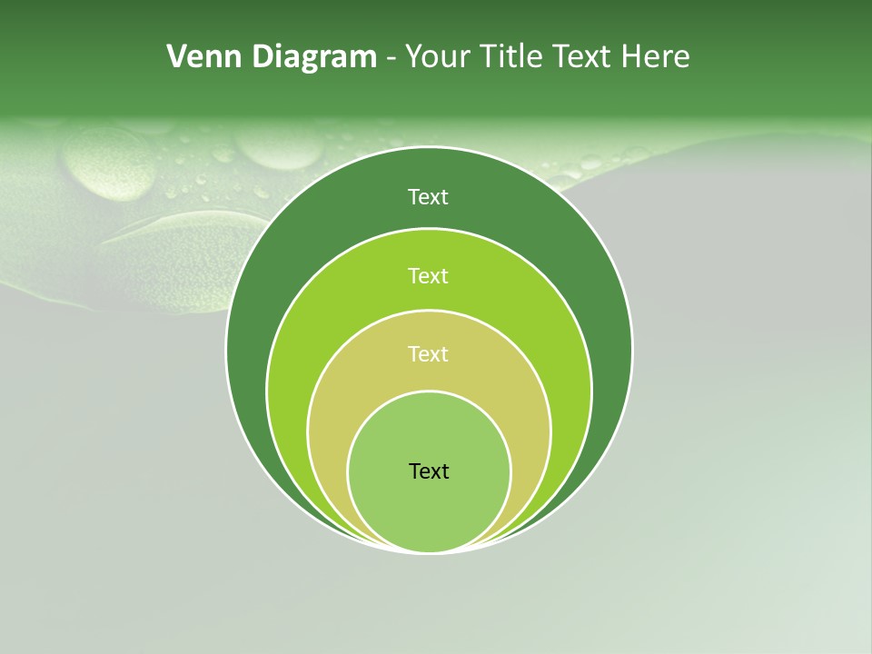 Nature Drops Leaf PowerPoint Template