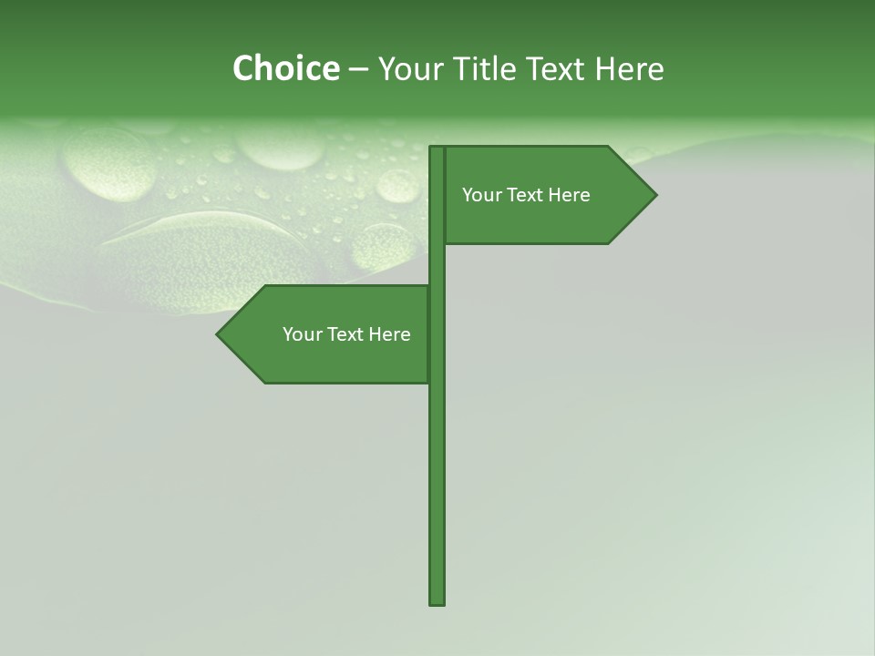 Nature Drops Leaf PowerPoint Template