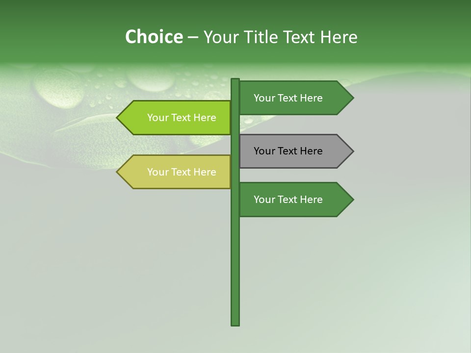 Nature Drops Leaf PowerPoint Template