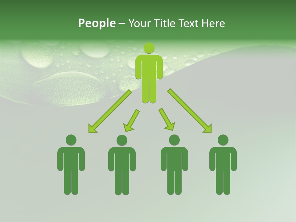 Nature Drops Leaf PowerPoint Template