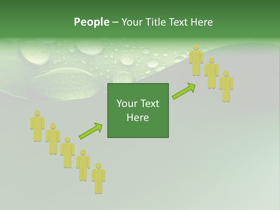 Nature Drops Leaf PowerPoint Template