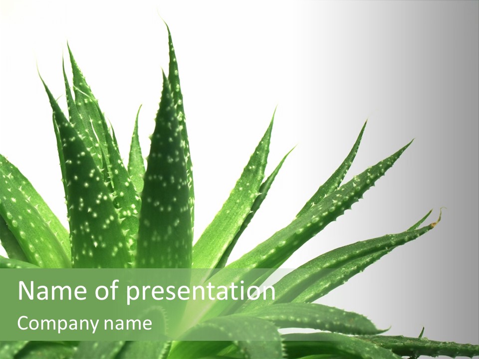 Detailed Plant Space PowerPoint Template