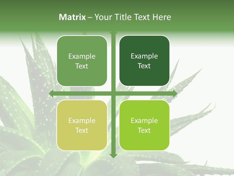 Detailed Plant Space PowerPoint Template