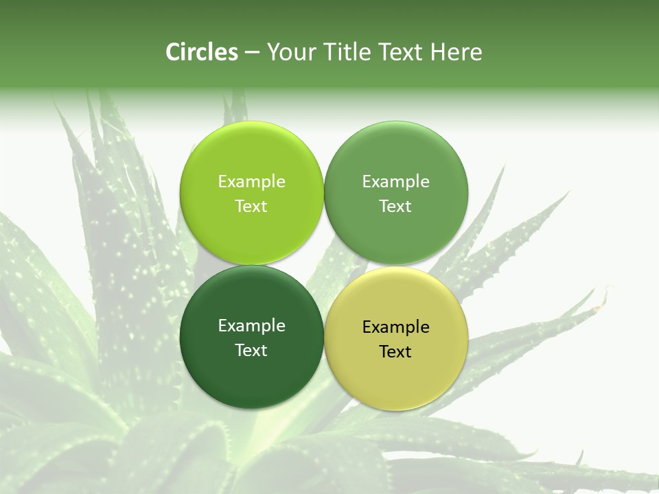 Detailed Plant Space PowerPoint Template