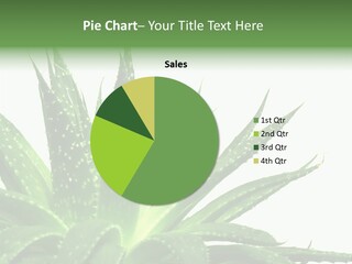 Detailed Plant Space PowerPoint Template