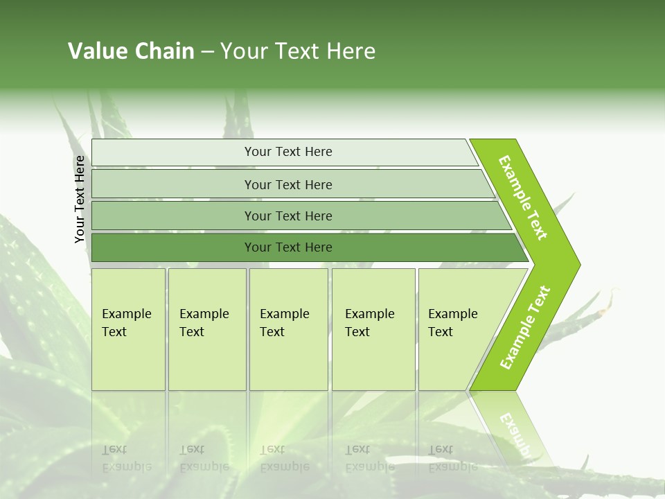 Detailed Plant Space PowerPoint Template