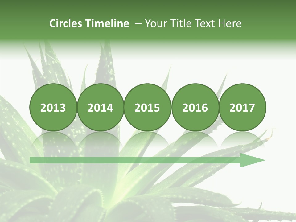 Detailed Plant Space PowerPoint Template