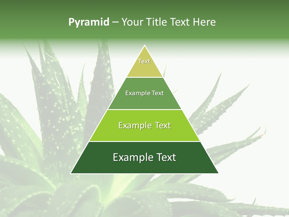 Detailed Plant Space PowerPoint Template