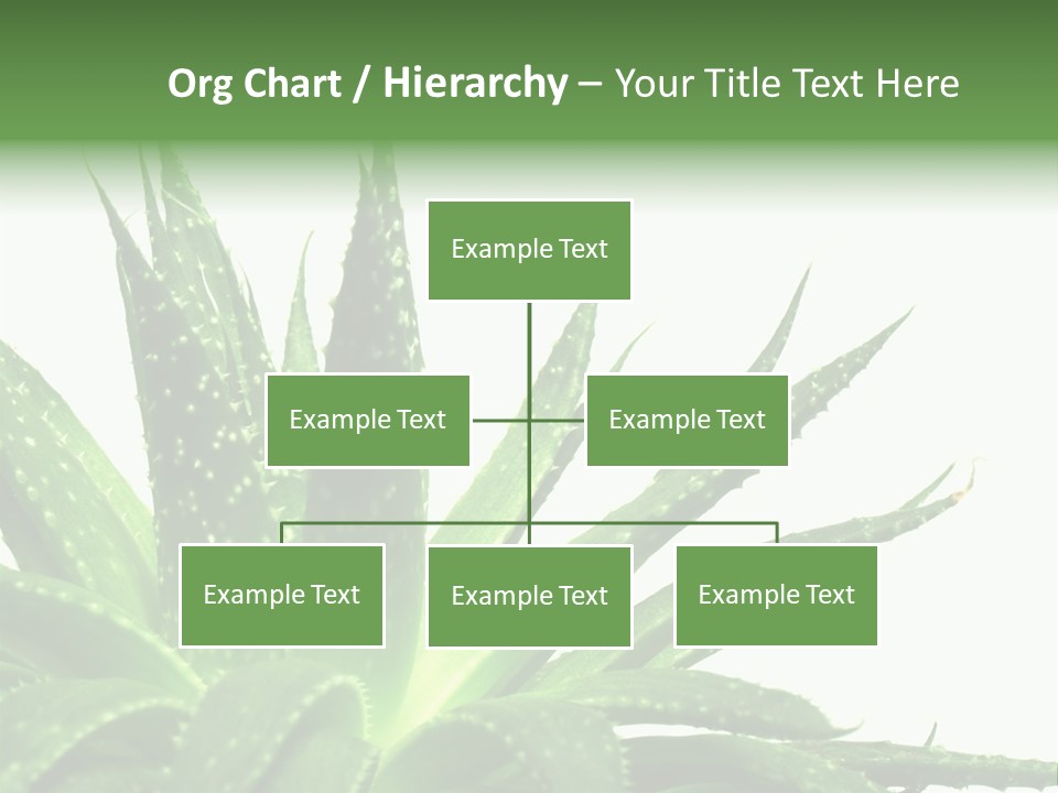 Detailed Plant Space PowerPoint Template