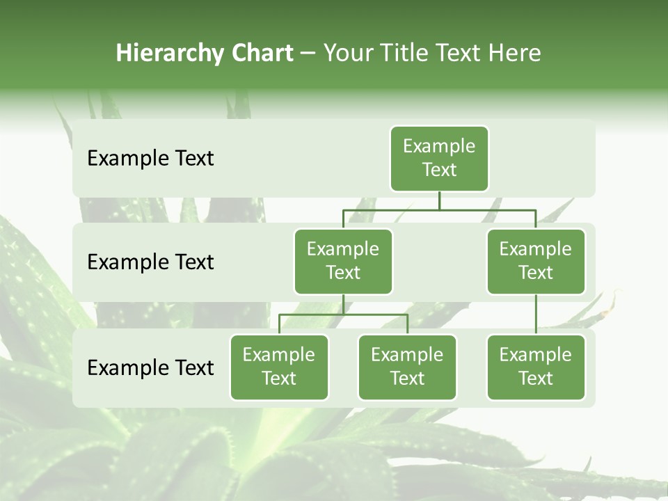 Detailed Plant Space PowerPoint Template