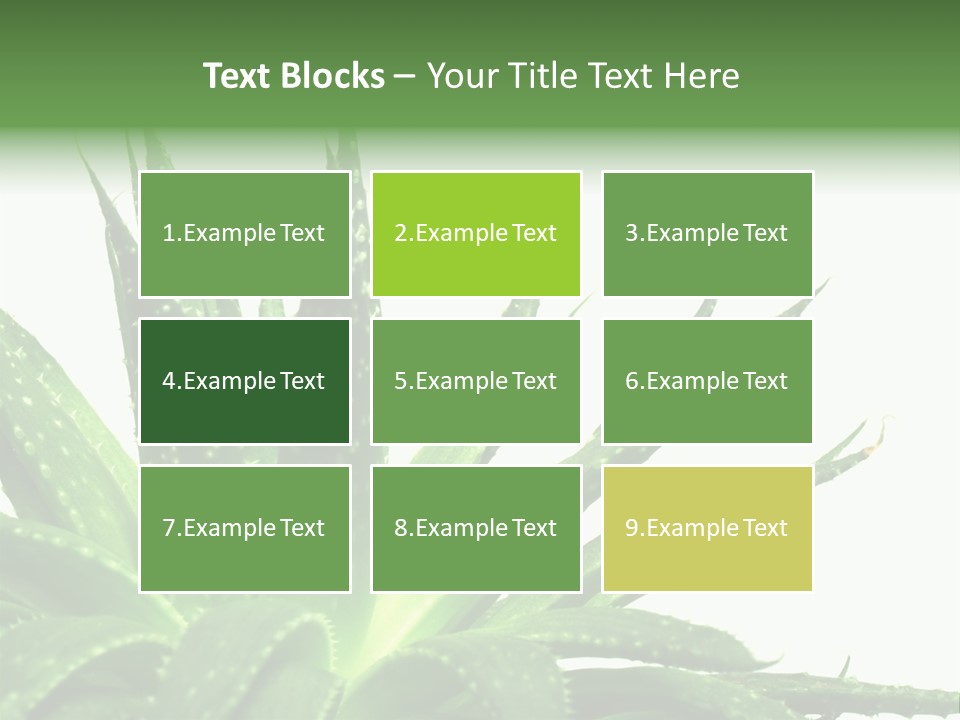 Detailed Plant Space PowerPoint Template