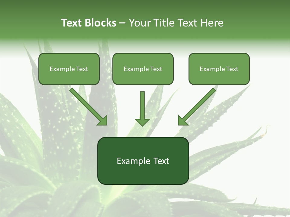 Detailed Plant Space PowerPoint Template