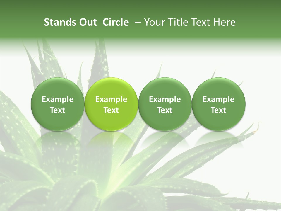Detailed Plant Space PowerPoint Template