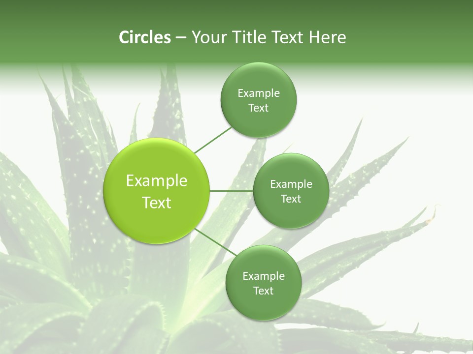 Detailed Plant Space PowerPoint Template