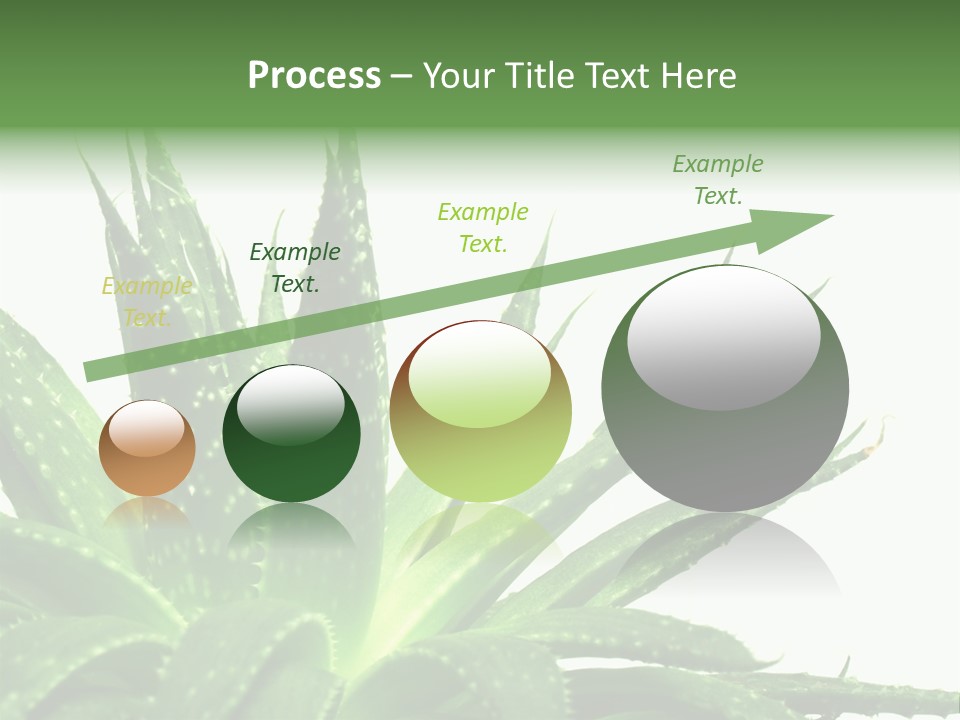 Detailed Plant Space PowerPoint Template