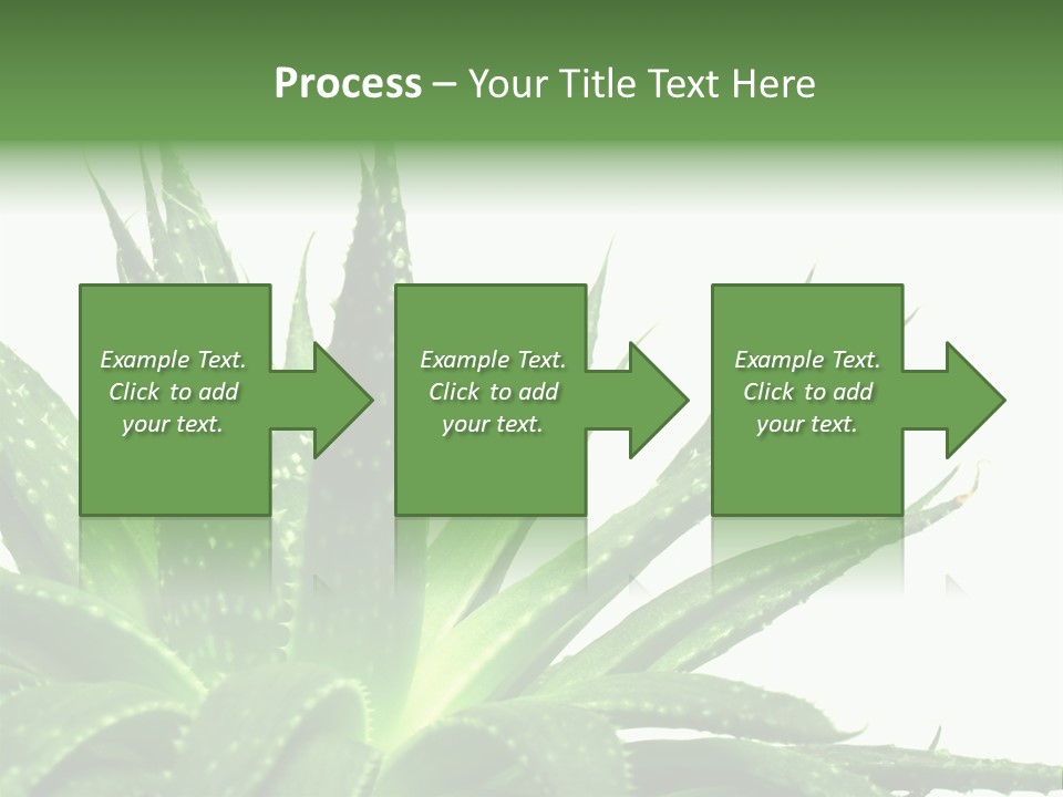 Detailed Plant Space PowerPoint Template